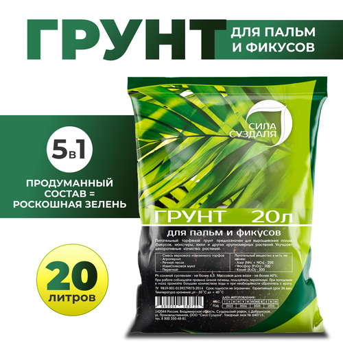 ���� ����� ��� ������ � ������ ���� ������� /����� ��� ��������� ������, 20 �, ������ �� 1548 ���