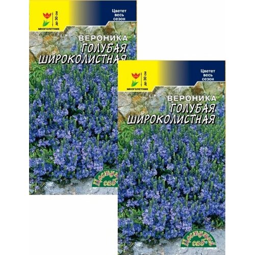 ���� �������� ������� ������������� (0,1 �), 2 ������, ������ �� 249 ���