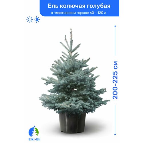     200-225     60-120 , ,   ,   29050 