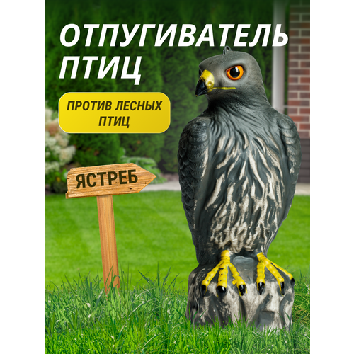 ���� ������������ ���� ������, ������ �� 1400 ���