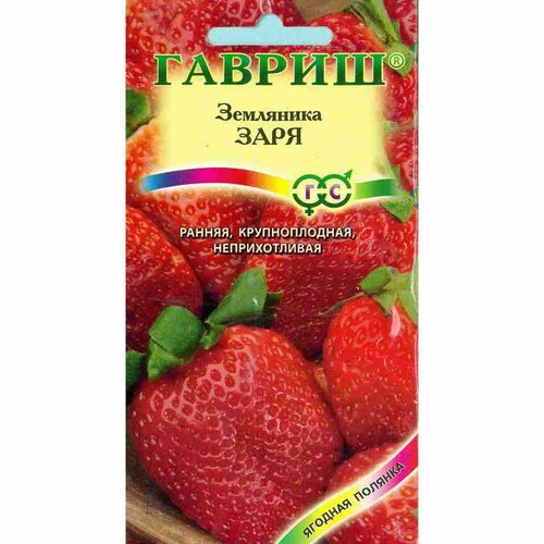 ���� ������ ��������� ���� (������) 10��, ������ �� 81 ���