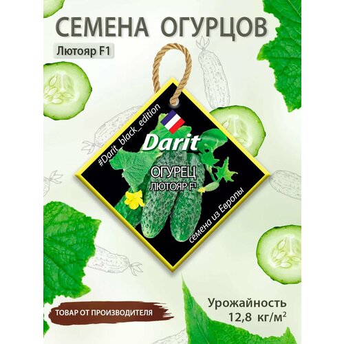 ���� ������ ������� ������ F1 Black Edition, ������ �� 262 ���