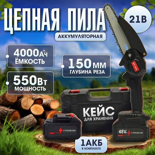 ���� ���� �������������� ������, �������� �������, ������� ��� ���� � ����, ������ �� 2439 ���