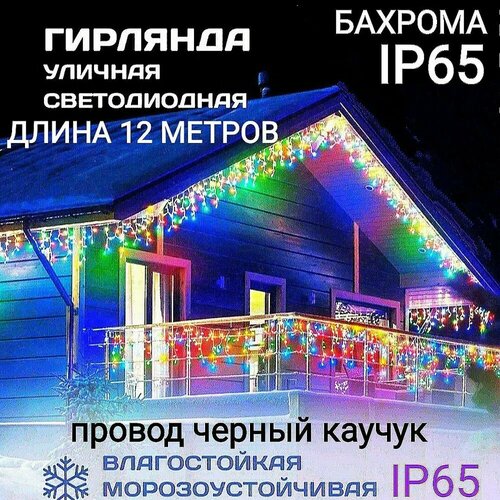 ���� ��������������� ������� ������� ������������ ������������ �� ������ ������� 12 ������, ������ �� 2950 ���