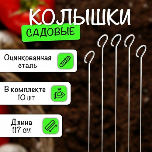 ���� ����� ������� ������� ������������� 117��, 10 �� � ���������, ������ �� 1400 ���