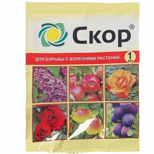  ,          , 1 ,   74 