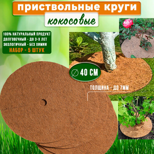 ���� ������������ ���� ��������� 5 ��, ������� 40 �� ��������� ������, ������ �� 1062 ���