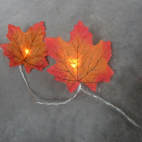 ���� �������� ������������ �������� 