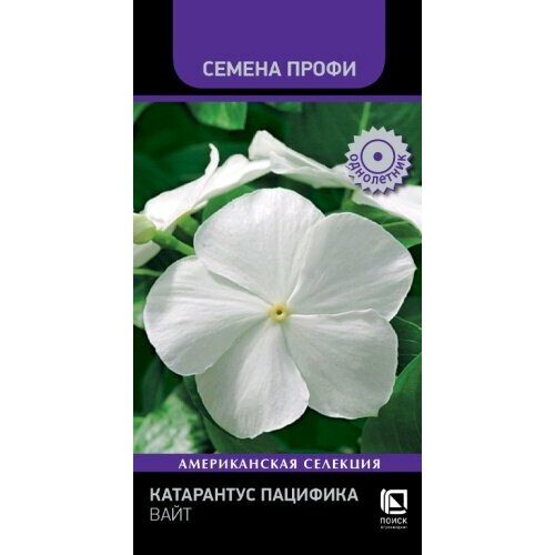 ���� ������ ���������� �������� ���� 10�� (�����), ������ �� 340 ���