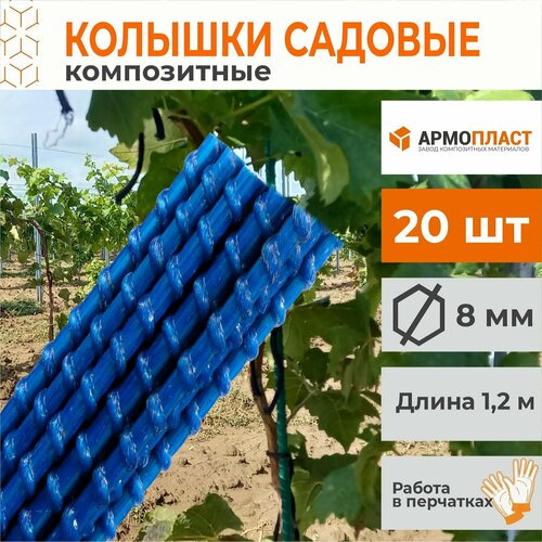 ���� ������� ��� ������������ ��������, ����� ��� ��� ��������� �������� 8 ��, ����� 1,2 � 20 ��, ������ �� 570 ���