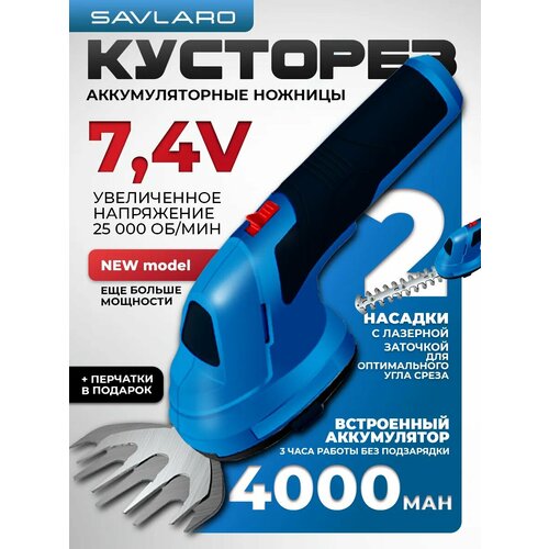 ���� �������� Savlaro, ��������������, �������, 2 ������, 7,4 �, ���������� ���, ������ �� 2865 ���