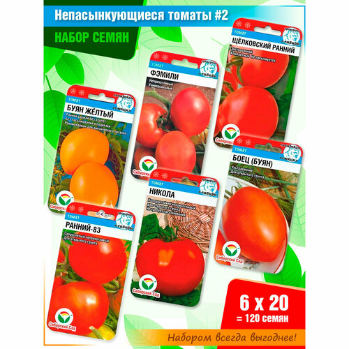 ���� ����� ����� ��������������� ������� 