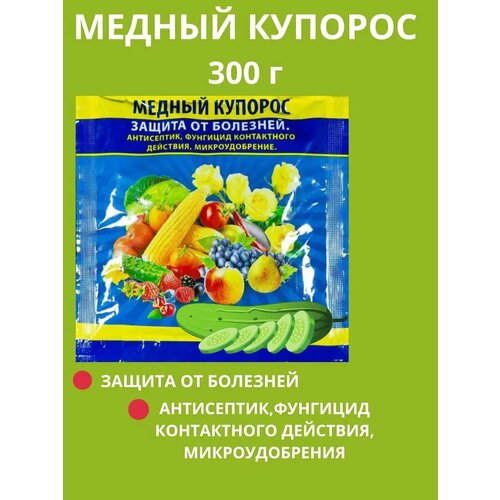 ���� ������ ������� 300 �, ������ �� 200 ���