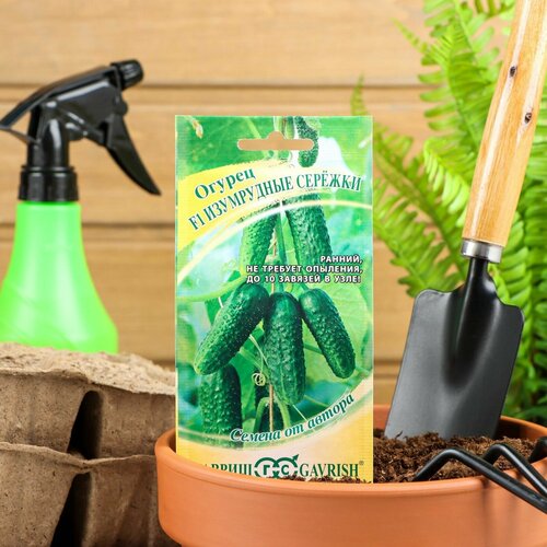 ���� ������. ������ 