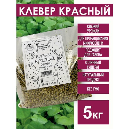 ���� ������ ������� ������ ��� ������������, 5 ��., ������ �� 3469 ���