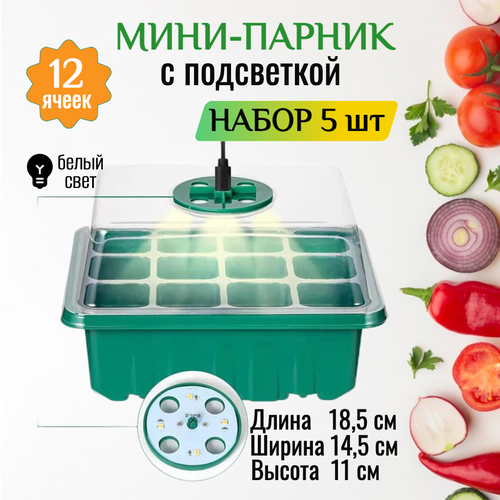  -      -5 .        ,   2850 