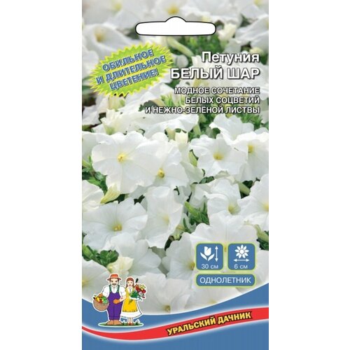 ���� ������ ������� ����� ��� (��) �/�, ������ �� 62 ���