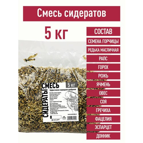 ���� ����� ��������� 5 �� ������� ������ ����� ���� ������ ���� ������� ������� ������ �������� ��������� ���������� �����, ������ �� 1099 ���