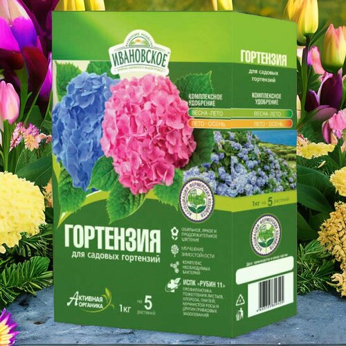 ���� ����������� ��������� ��� ������� ���������. ��������� 1��. �������� ����������� ��������������. ������������ �������, ������, ��������� ����., ������ �� 390 ���