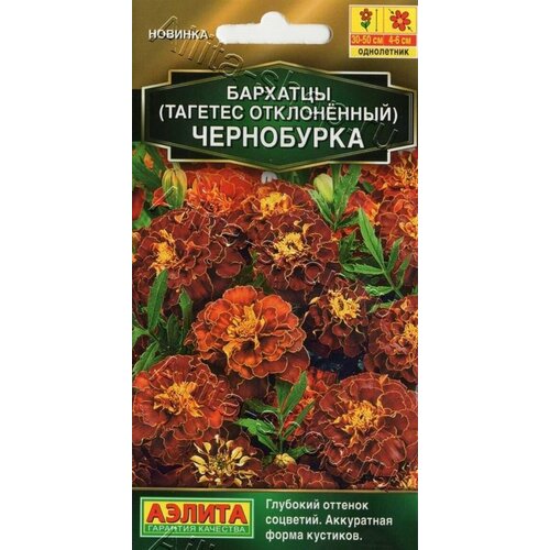 ���� �������� ���������� �����������, ������ �� 55 ���