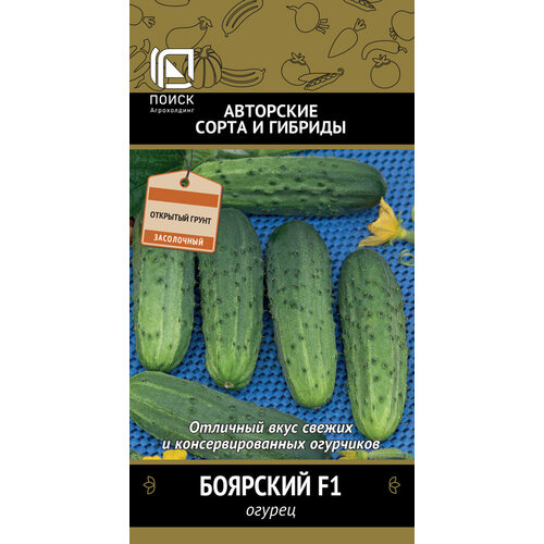 ���� ������ ������ �������� F1 12�� �� (�����) �����, ������ �� 45 ���