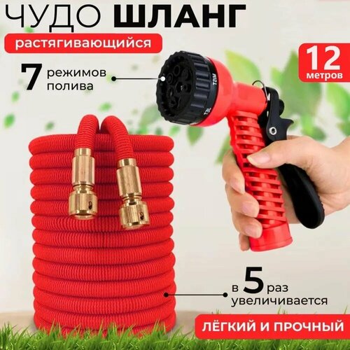 ���� ����� ������� ���������� ��������������� � 4 �� 12 ������, � ��������� � ������������, ������ �� 825 ���