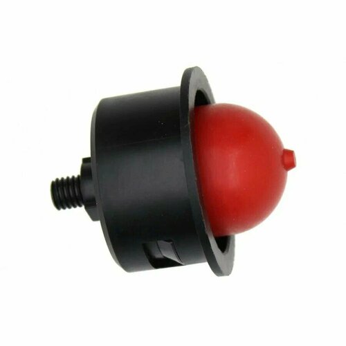 ���� ��������(�������) � �������, ������ �� 450 ���