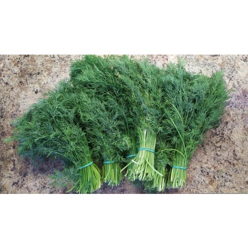   ,         ,     ,    , 1500 ,   237 