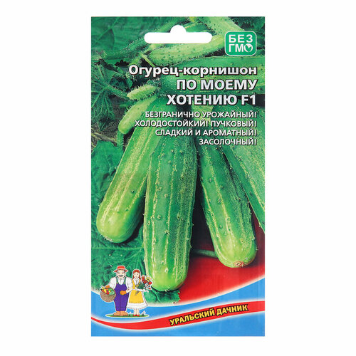 ���� ������ ������ 