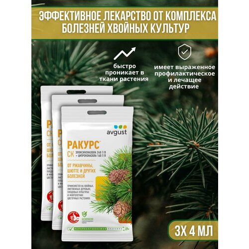 ���� �������� �� �������� ������� ��������, ��������� ��� ������ � �����, ��������� ������ 4 �� 3 ��, ������ �� 610 ���