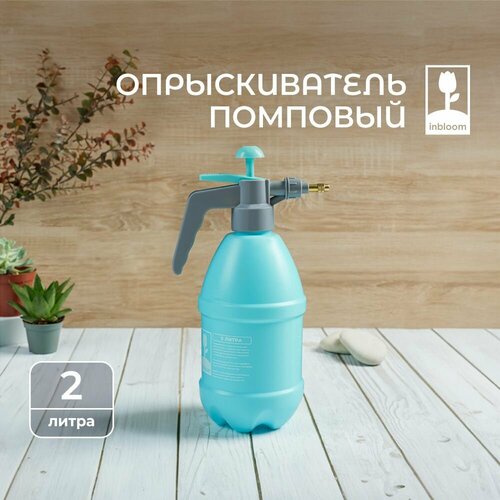    2  INBLOOM , ,  ,   523 