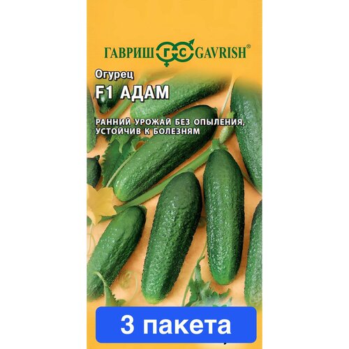 ���� ������ ������ ������ 