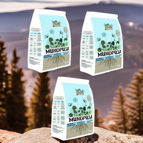 ���� �������� ������� ����� 1�� / 3��. ������ ��������, ������ �� 585 ���