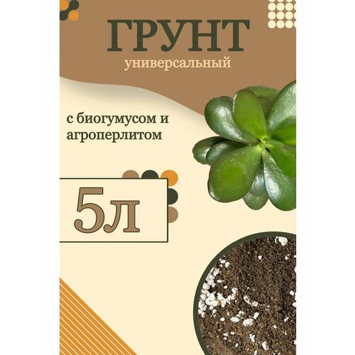 ���� ����� ������������� �� GOLD GARDEN, ��� ��������� � ������������ ��������, 5 ������, ������ �� 478 ���