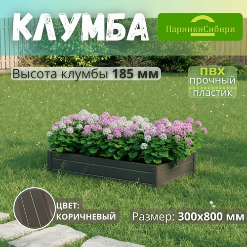 ���� ������� ������/������ �� ���, ��������, 