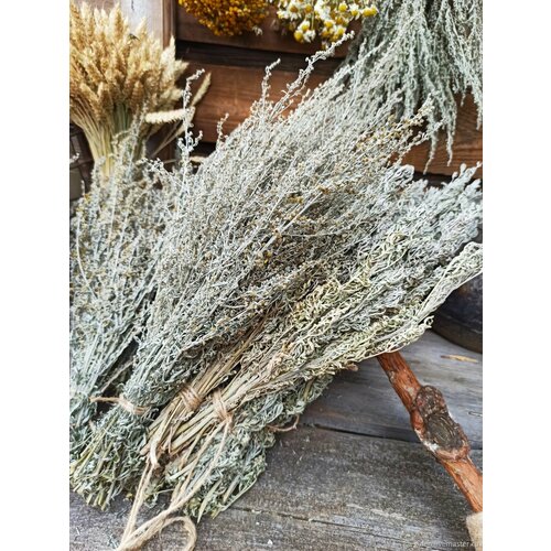 ���� ������ �������, �� ������������, ���� ���� 2024�., ������ �� 599 ���