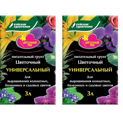 ���� ����� ����������� 