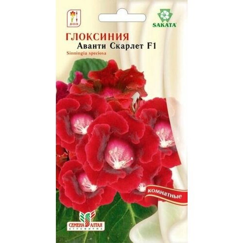 ���� ������ ��������� 