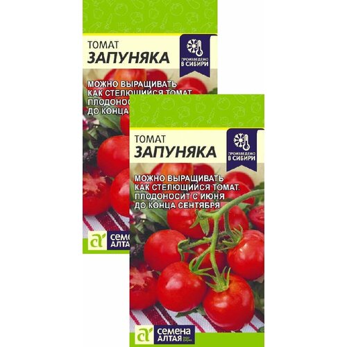 ���� ����� �������� (0,05 �), 2 ������, ������ �� 279 ���