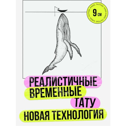 ���� ���� ���������� �������������� �������� ���, ������ �� 412 ���