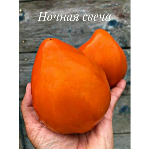 ���� ������������� ������ ������ ������ �����, ������ �� 104 ���