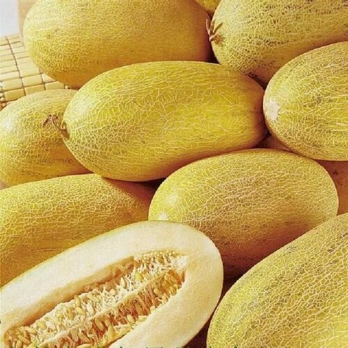 ���� ������������� ������ ���� ������� �������, ������ �� 128 ���