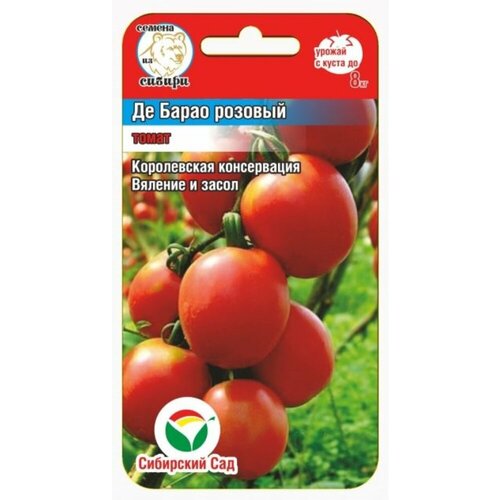 ���� ������ ����� �� ����� ������� 20�� ����� (��������� ���), ������ �� 40 ���