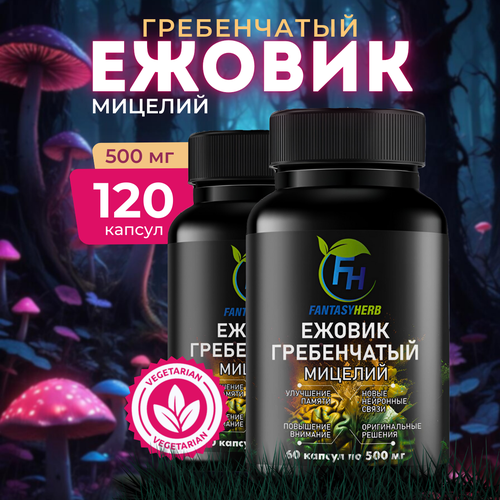 ���� ������� ������� ������������ 120 ������ �� 500 ��, ������ �� 1210 ���