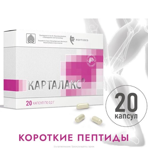 ���� ��������� ����., 12 �, 20 ��., 1 ��., ������ �� 1705 ���