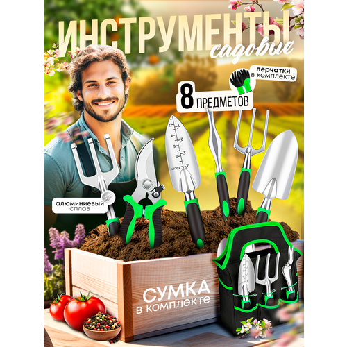 ���� ����� ������� ������������ 8 ��������� ������� ���������, ��������, ������ �� 3140 ���