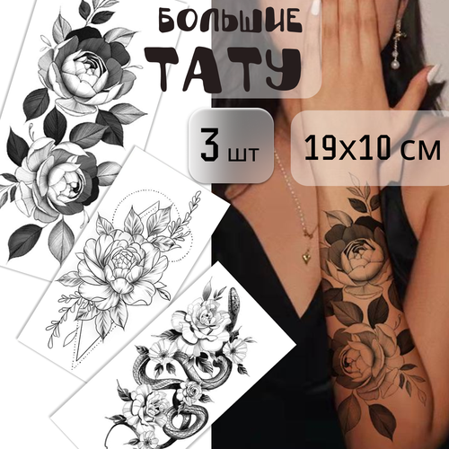 ���� ����� ������� ���������� ���� 3 ����� (19�10 ��). ���������, ������ �� 299 ���