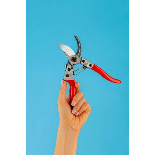 ���� ������� �����������, 20 ��, ������������ �����, ������ �� 499 ���