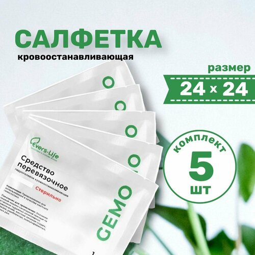 ���� �������� �������������������� ������������ ����� ����-���� 24�24 ������������ �������� � ������� 5��, ������ �� 480 ���