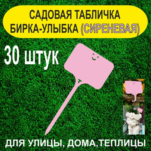    - .   . 30  (),   300 